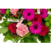 flower mix with chocolate
